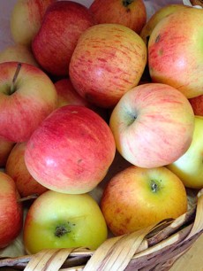 Manzanas de producción ecológica | Foto: abocados