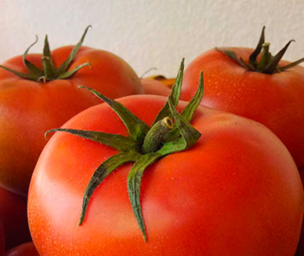 Tomates ecológicos | Foto: abocados