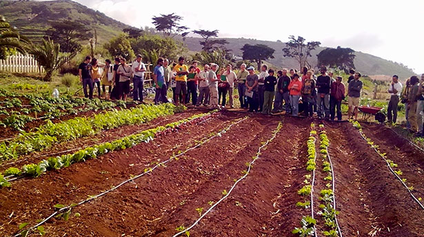 Un grupo de participantes en los cursos Tegueste Agrícola