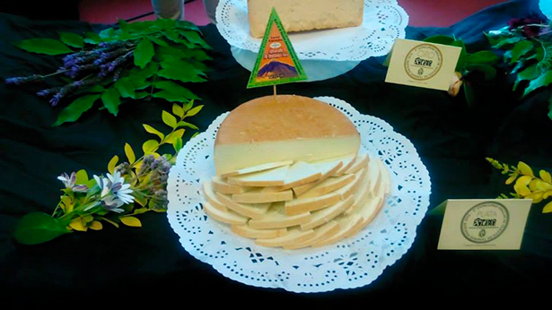 Uno de los quesos de Quesería El Guanche, que ha obtenido una medalla de oro | Foto: Quesería El Guanche