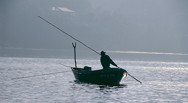 Pescador | Foto: alimentacion.es
