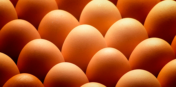 Huevos | Foto: huevos Guillén