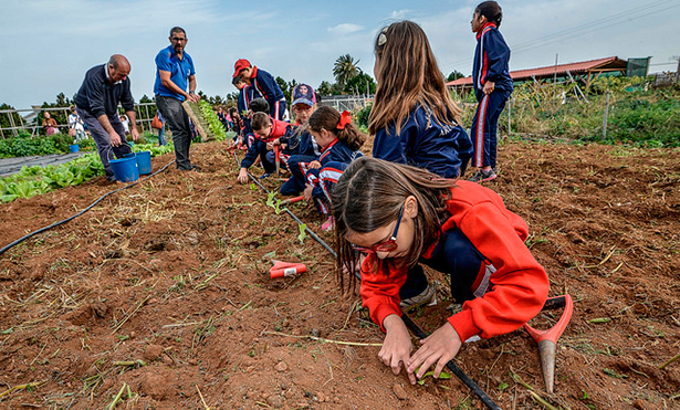 Los escolares plantan las hortalizas que luego se llevarán a casa