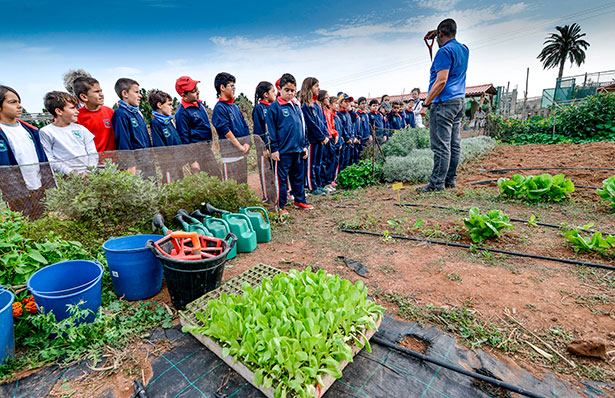 Los programas ‘Conoce la Granja’ y ‘Huertos escolares’ enseñarán a 4.500 alumnos a plantar y recolectar hortalizas | Foto: Cabildo de Gran Canaria
