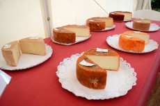 Algunos de los quesos presentados a concurso | Foto: Cabildo de Gran Canaria