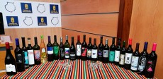 29 vinos quedaron finalistas en el concurso