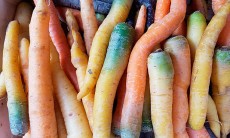 Zanahorias | Foto: J.L.C.