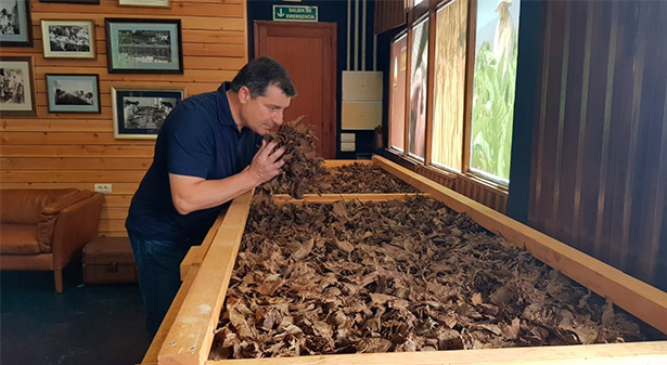 El sumiller de Can Roca, en un secadero de tabaco de La Palma
