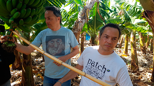 Sergio y Javier Torres, durante una visita a una finca de plátanos de Tenerife | Foto: J. L. Conde