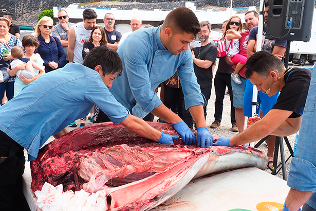 Una hora se empleó en el ronqueo del atún, de 176 kilos, capturado el viernes en aguas canarias | Foto: Sergio Méndez