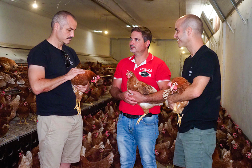 Mario y Fabián Torres con José Hernández, en la Granja Avícola La Florida | Foto: Sergio Méndez