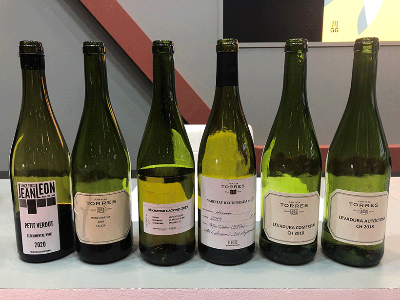 La selección de vinos que protagonizaron la cata