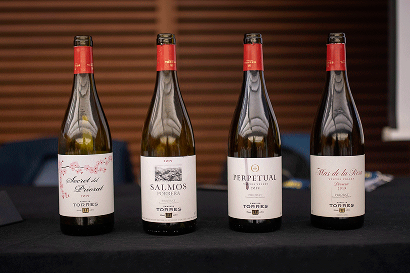 Los cuatro vinos de la zona del Priorat elaborados por Familia Torres
